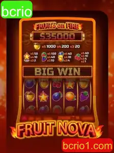 Explorando o Mundo de FruitNova: Um Mergulho no Jogo do Momento