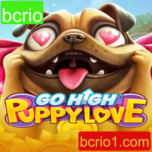 GoHighPuppyLove: Um Mergulho no Mundo dos Filhotes e Alturas